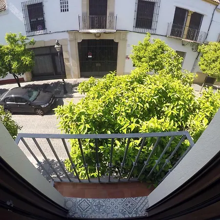 Urban Chic Center Santa Marina Apartment *