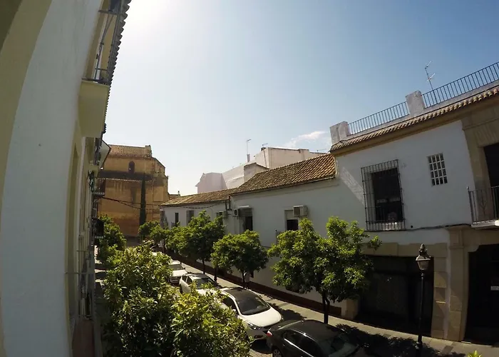 Urban Chic Center Santa Marina *